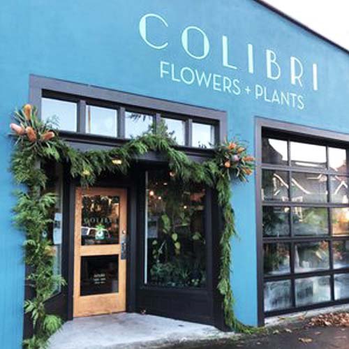 Colibri Flowers & Plants