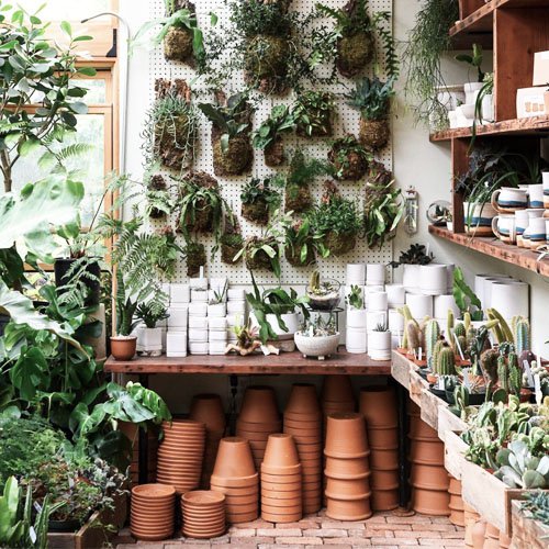 Pistils Nursery