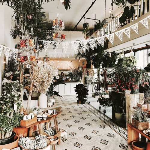 Solabee Flowers & Botanicals